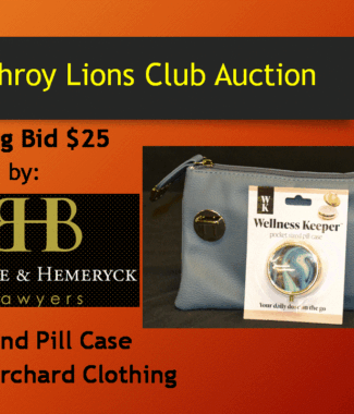 Purse and Pill Case from Orchard Clothing