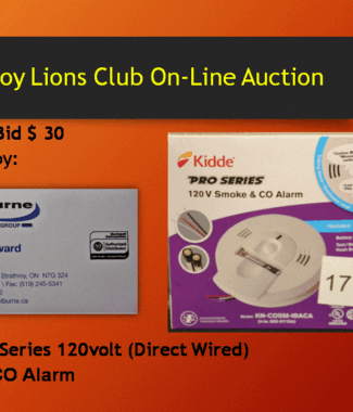 Kidde Pro Series 120V Smoke & CO Alarm