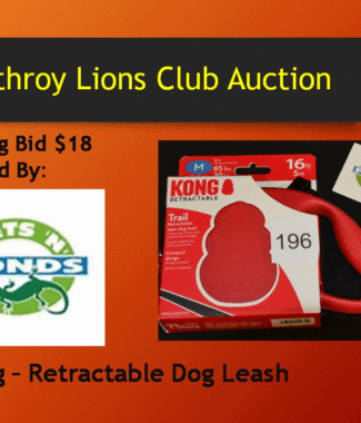 Kong Retractable Dog Leash