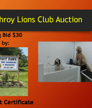 $60 Gift Certificate