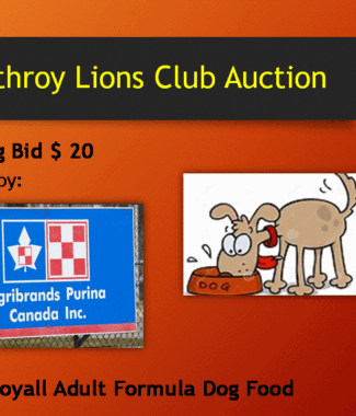 15KG Bag Purina Loyall Adult Dog Food