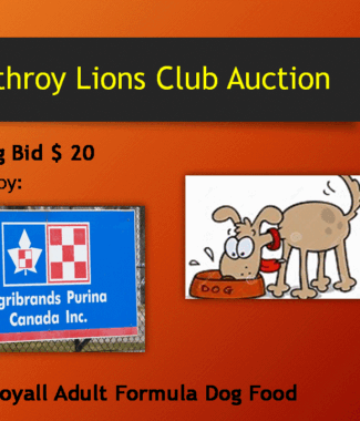 15KG Bag Purina Loyall Adult Dog Food