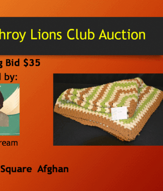 Granny Square Afghan