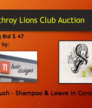 Hair Brush, Shampoo & Conditioner, Leave in Conditioner