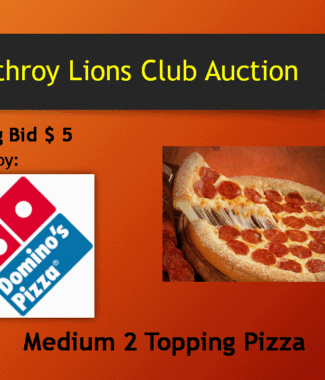 Medium 2 Topping Pizza