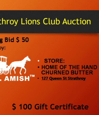 $100 Gift Certificate