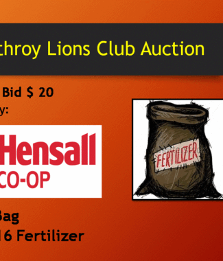 25KG 16 16 16 Fertilizer